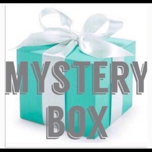 ACCESSORIES HANDBAGS BELT MYSTERY  BOX